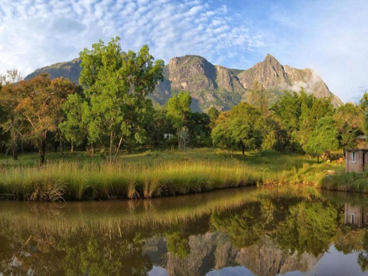 Jungle Hut Otel Masinagudi Dış mekan fotoğraf