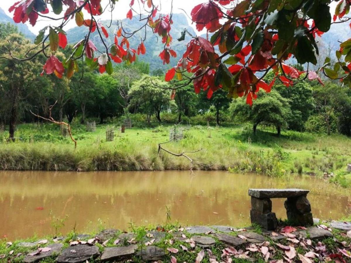 Jungle Hut Otel Masinagudi Dış mekan fotoğraf