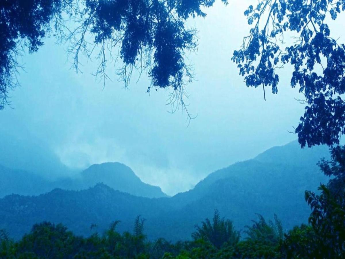 Jungle Hut Otel Masinagudi Dış mekan fotoğraf