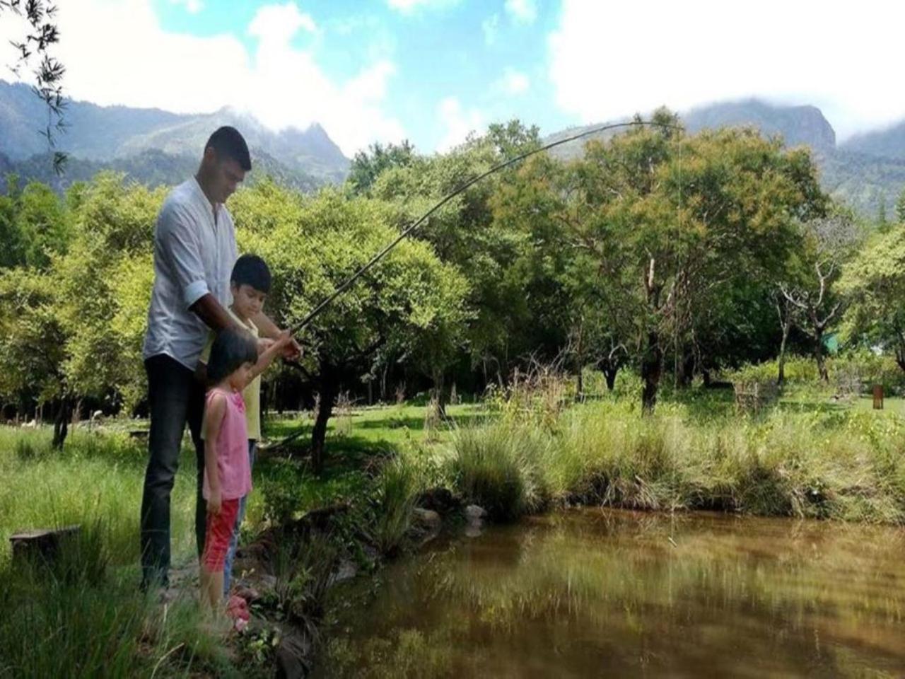 Jungle Hut Otel Masinagudi Dış mekan fotoğraf