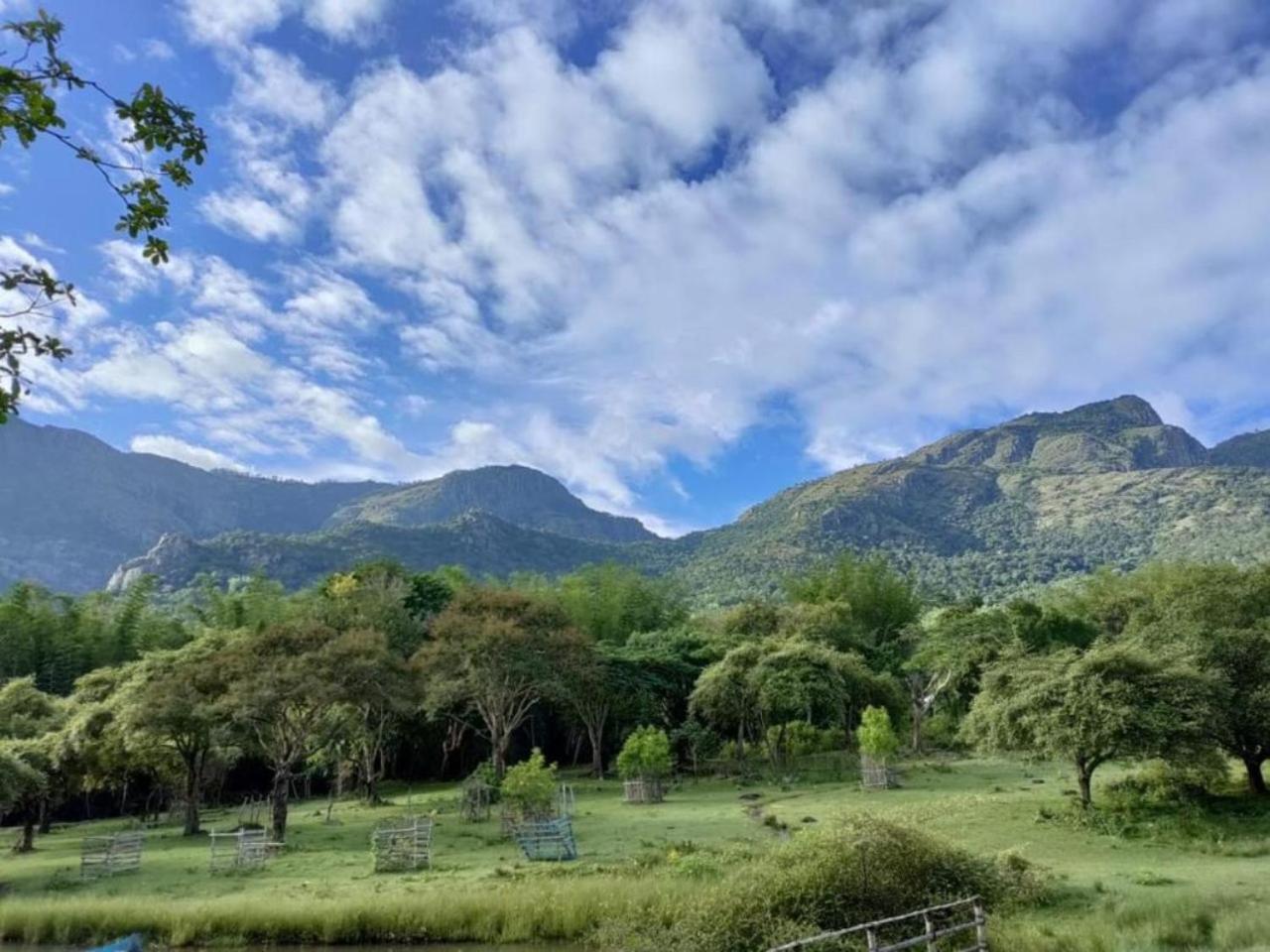 Jungle Hut Otel Masinagudi Dış mekan fotoğraf