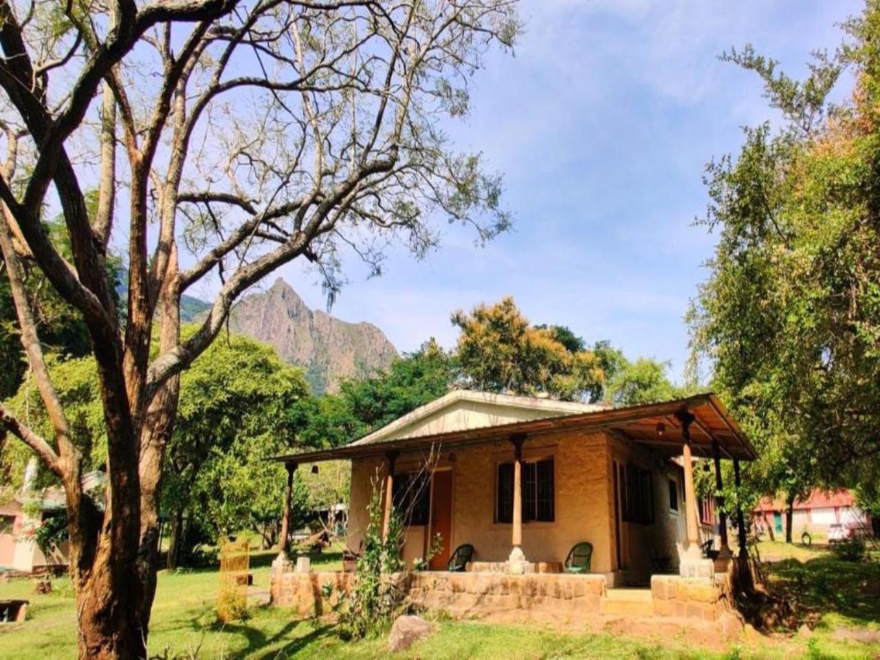 Jungle Hut Otel Masinagudi Dış mekan fotoğraf